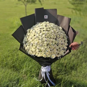 Massive 200 stem white roses bouquet with baby's breath wrapped in elegant black and white paper